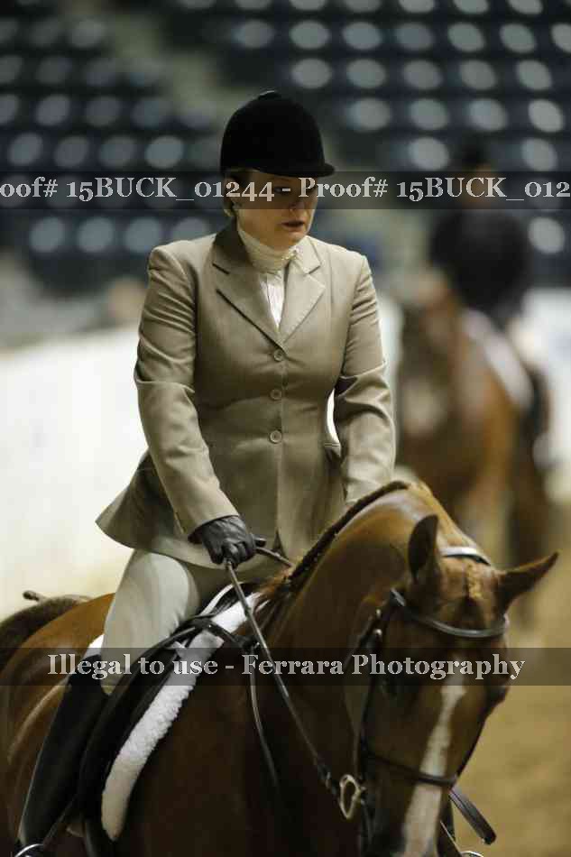 Proof Number 15BUCK_01244