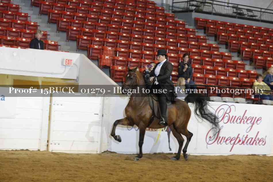 Proof Number 15BUCK_01279