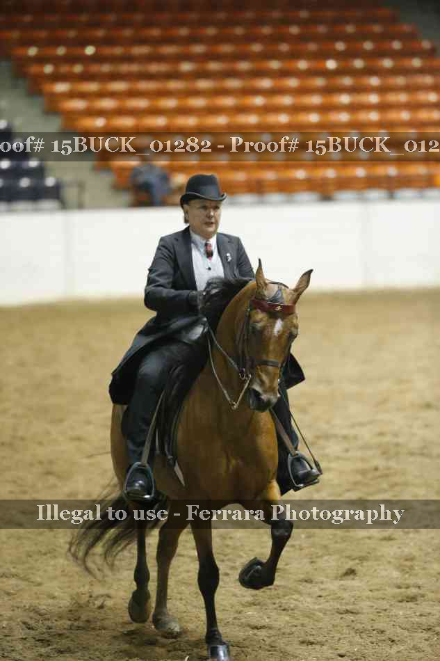 Proof Number 15BUCK_01282