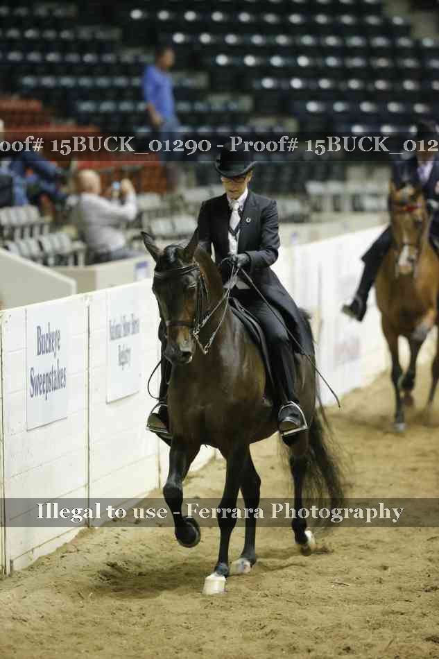 Proof Number 15BUCK_01290