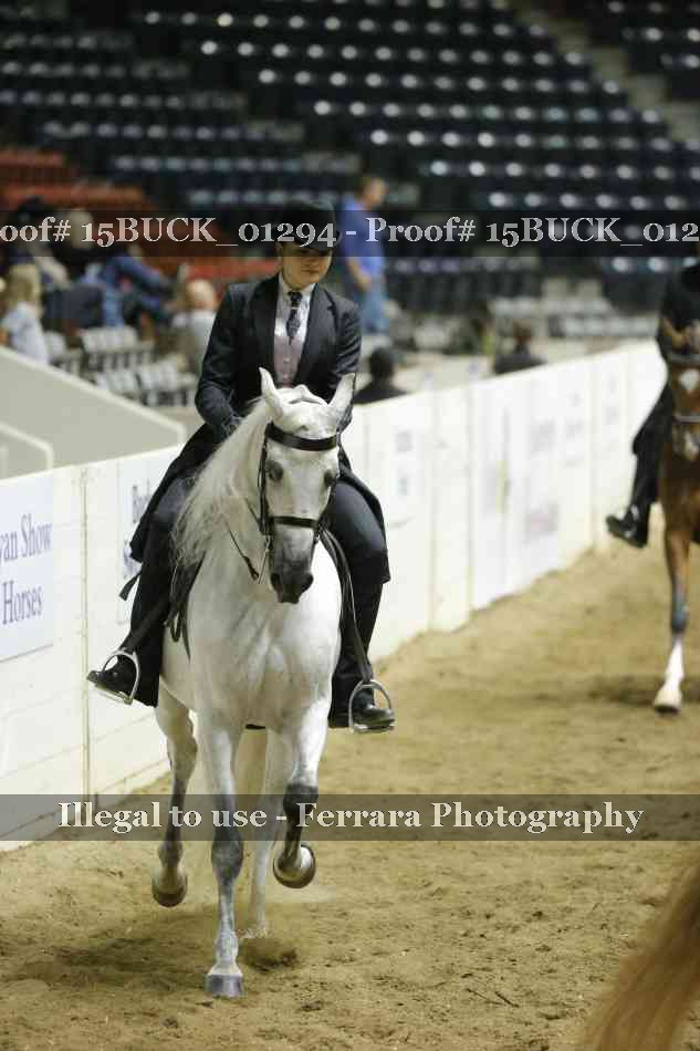 Proof Number 15BUCK_01294
