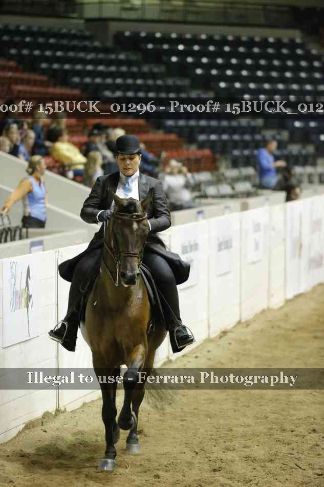 Proof Number 15BUCK_01296