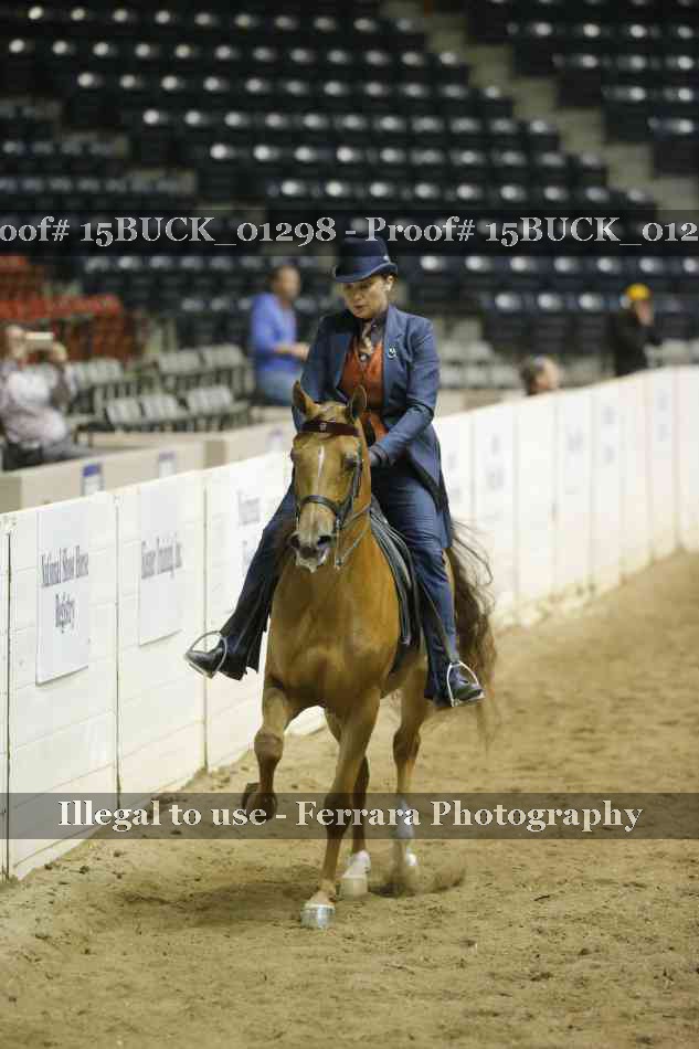 Proof Number 15BUCK_01298