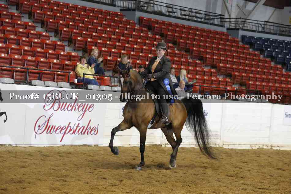 Proof Number 15BUCK_01305