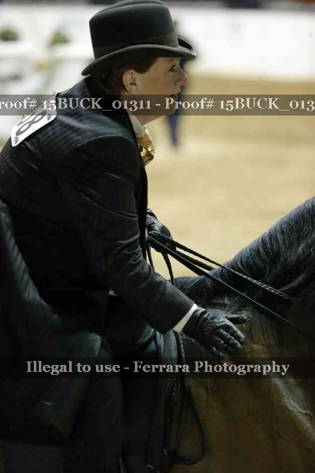 Proof Number 15BUCK_01311