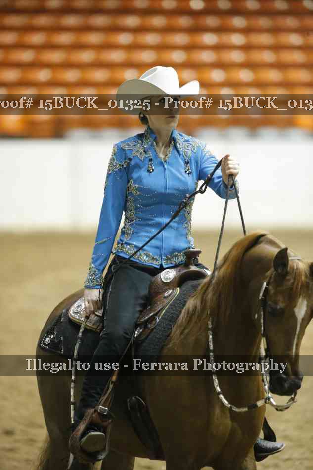 Proof Number 15BUCK_01325
