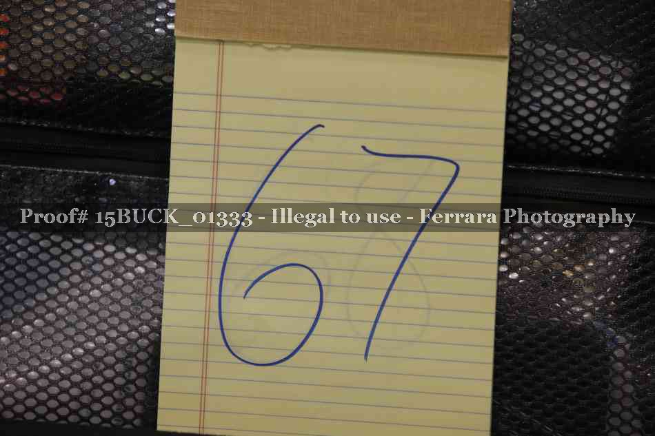 Proof Number 15BUCK_01333