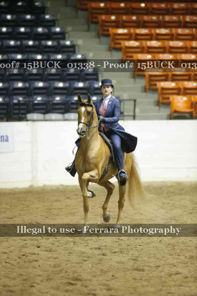 Proof Number 15BUCK_01338