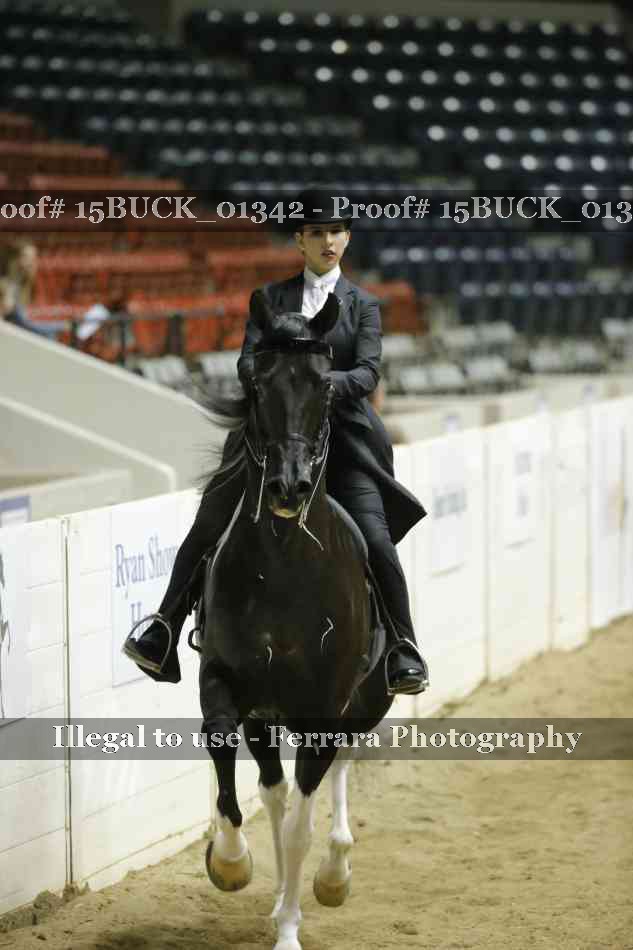 Proof Number 15BUCK_01342