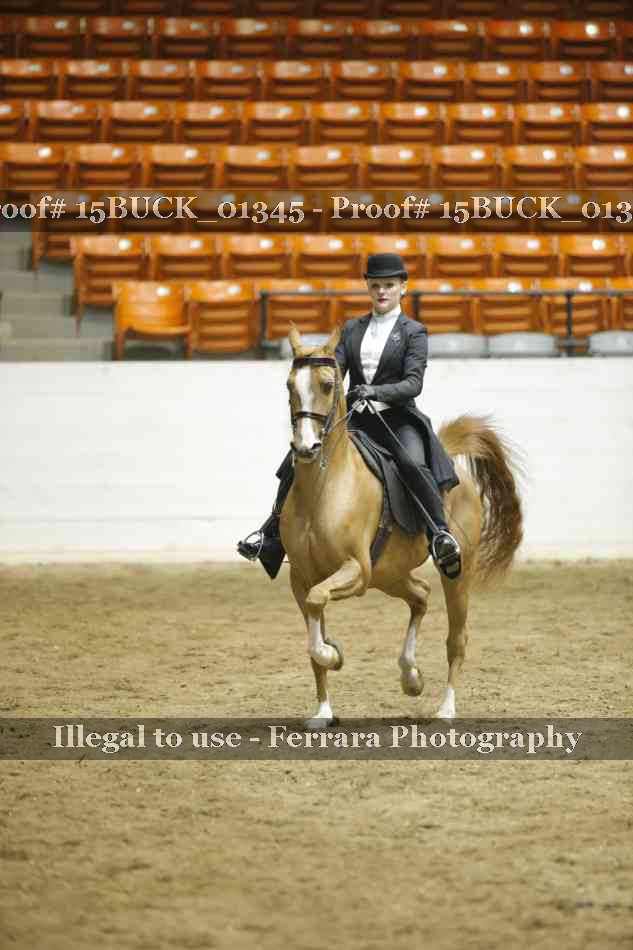 Proof Number 15BUCK_01345