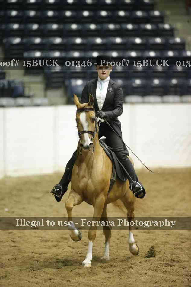 Proof Number 15BUCK_01346