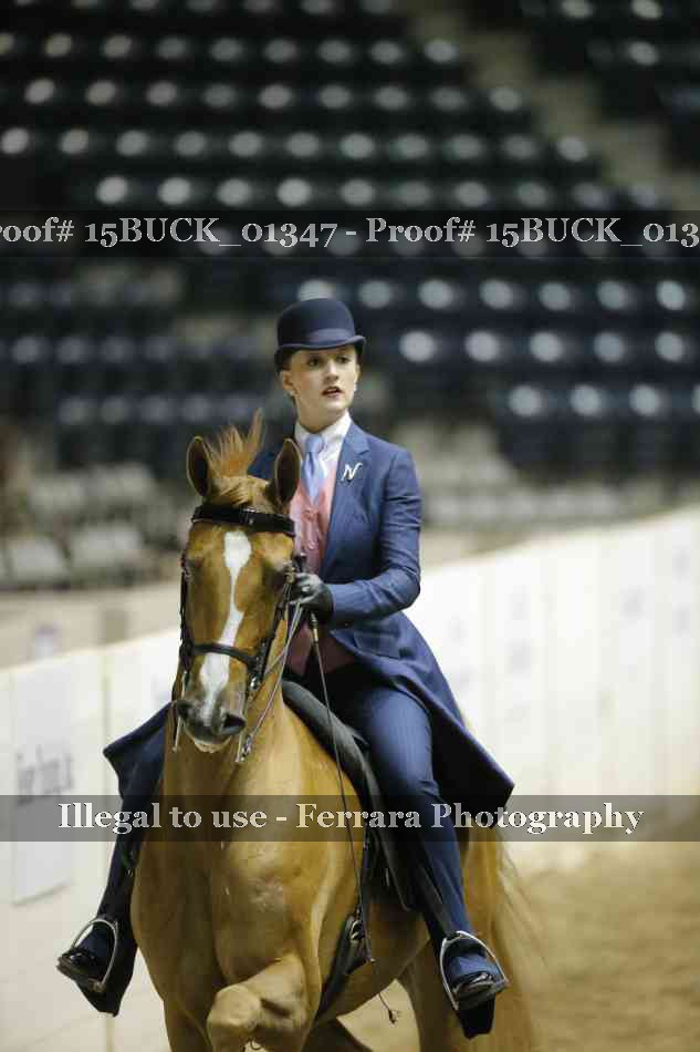 Proof Number 15BUCK_01347
