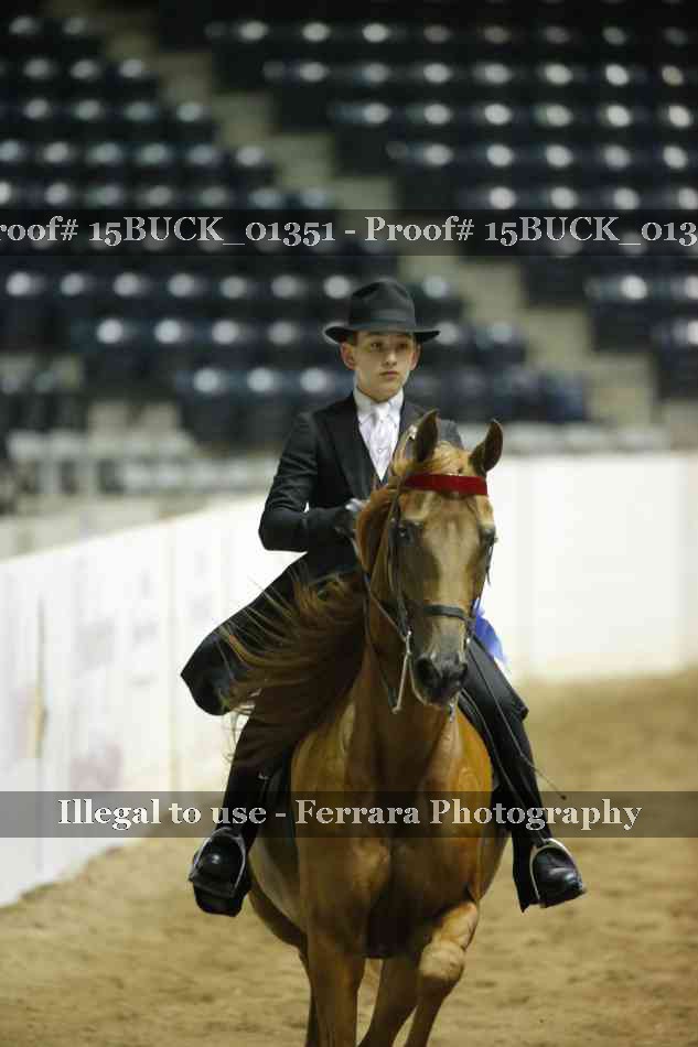 Proof Number 15BUCK_01351