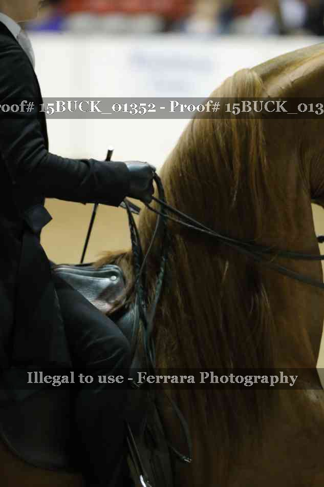 Proof Number 15BUCK_01352