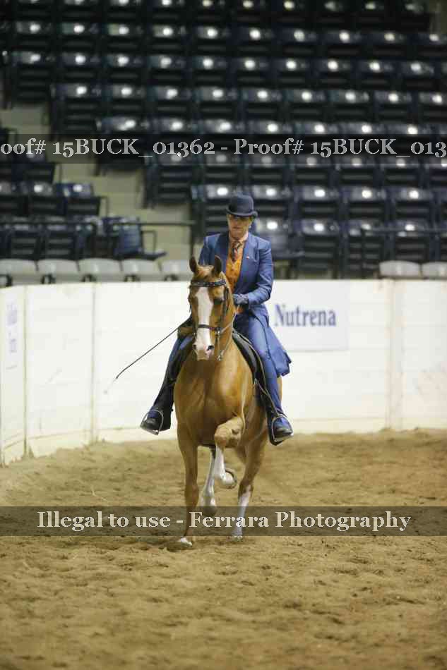Proof Number 15BUCK_01362