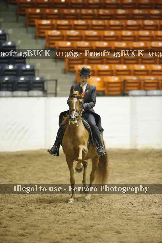 Proof Number 15BUCK_01365