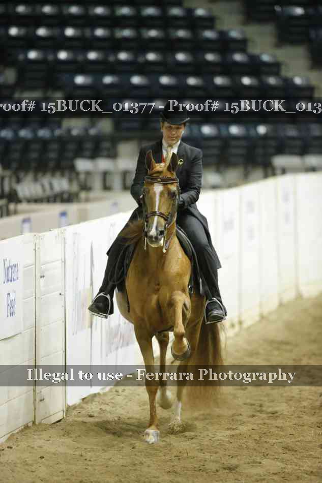 Proof Number 15BUCK_01377