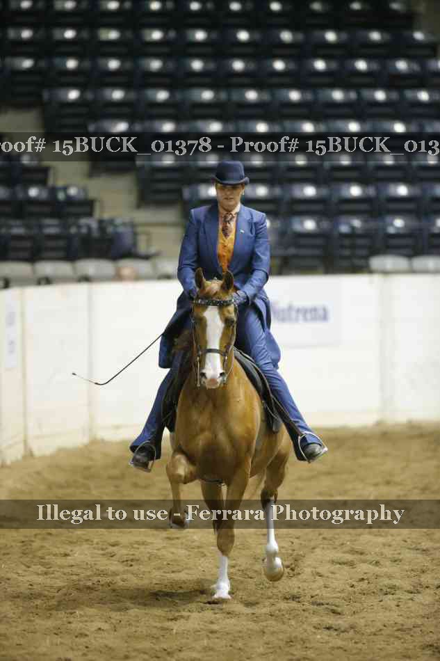 Proof Number 15BUCK_01378