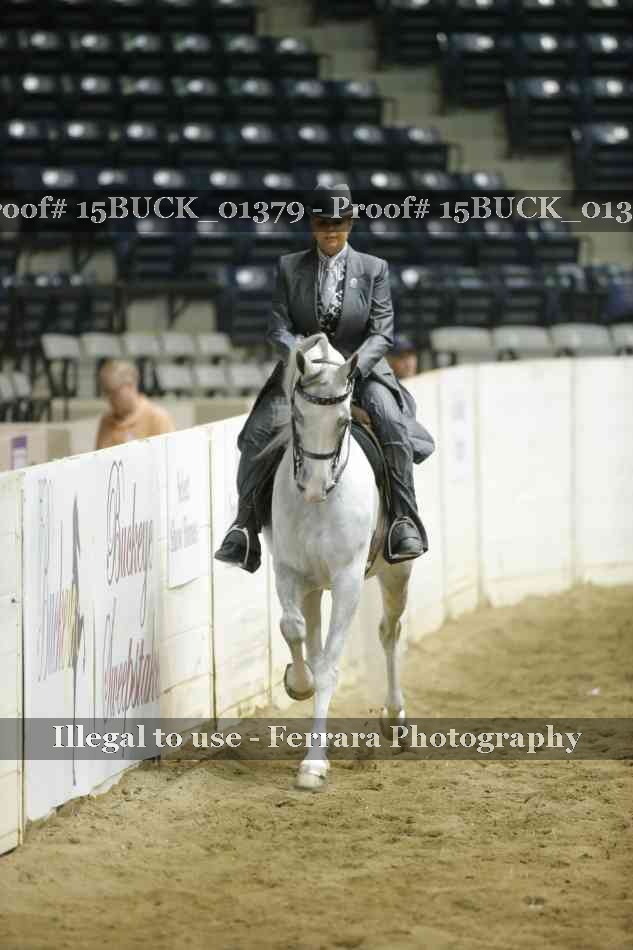Proof Number 15BUCK_01379