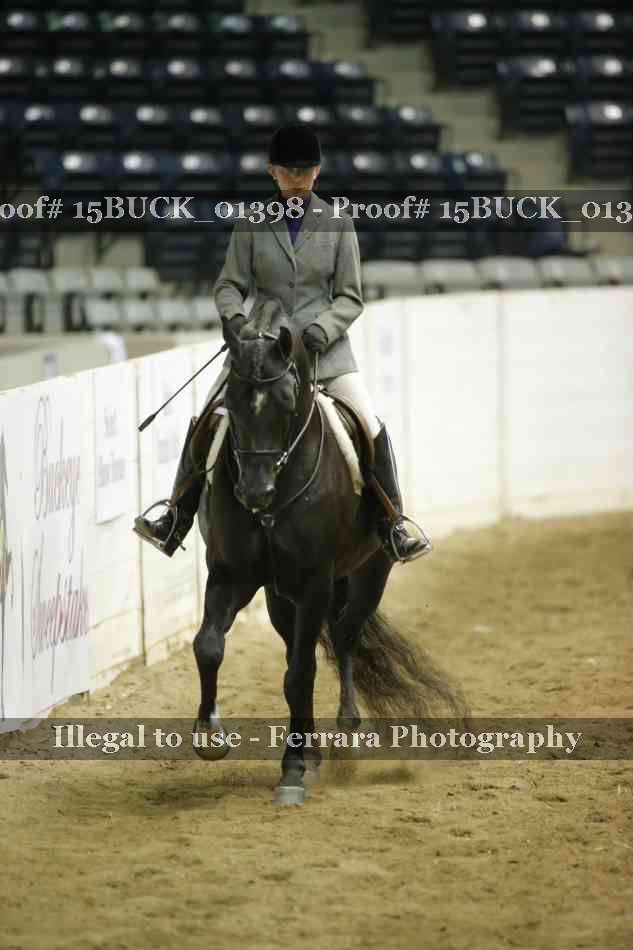 Proof Number 15BUCK_01398