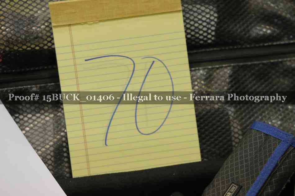 Proof Number 15BUCK_01406