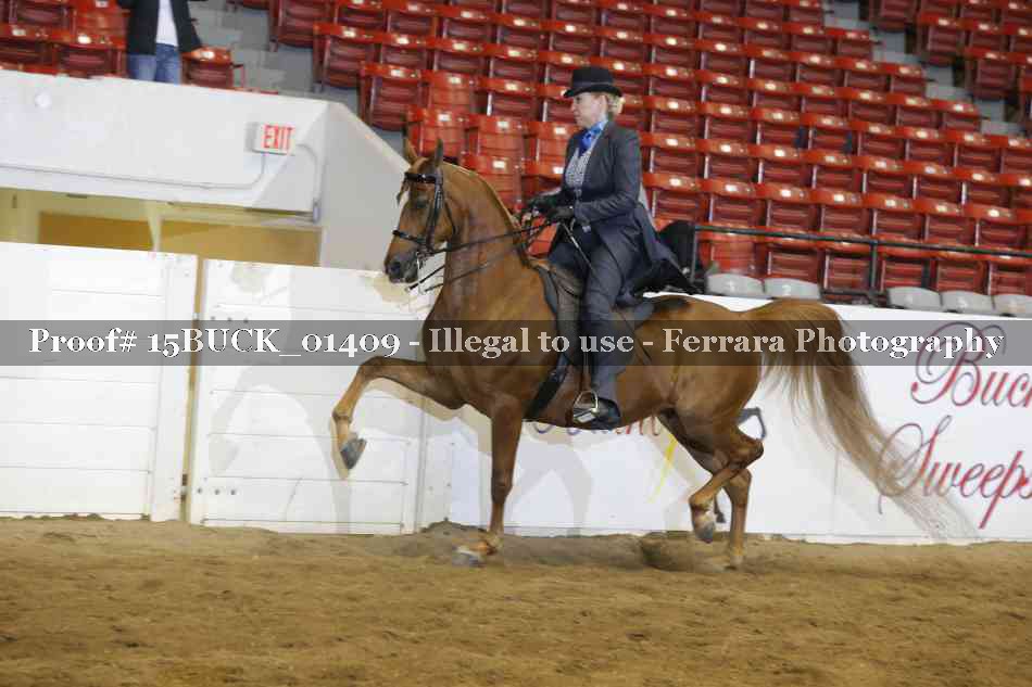 Proof Number 15BUCK_01409