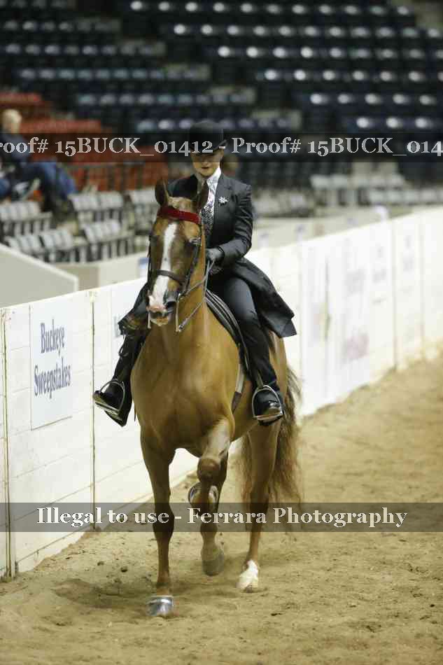 Proof Number 15BUCK_01412