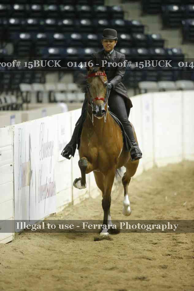 Proof Number 15BUCK_01416