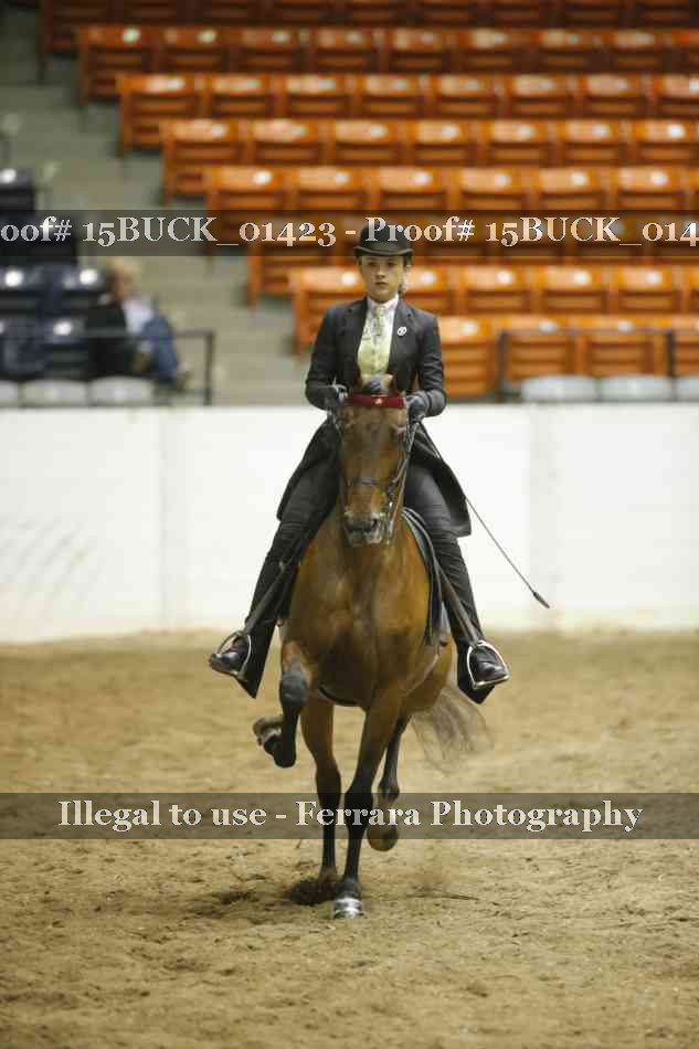 Proof Number 15BUCK_01423