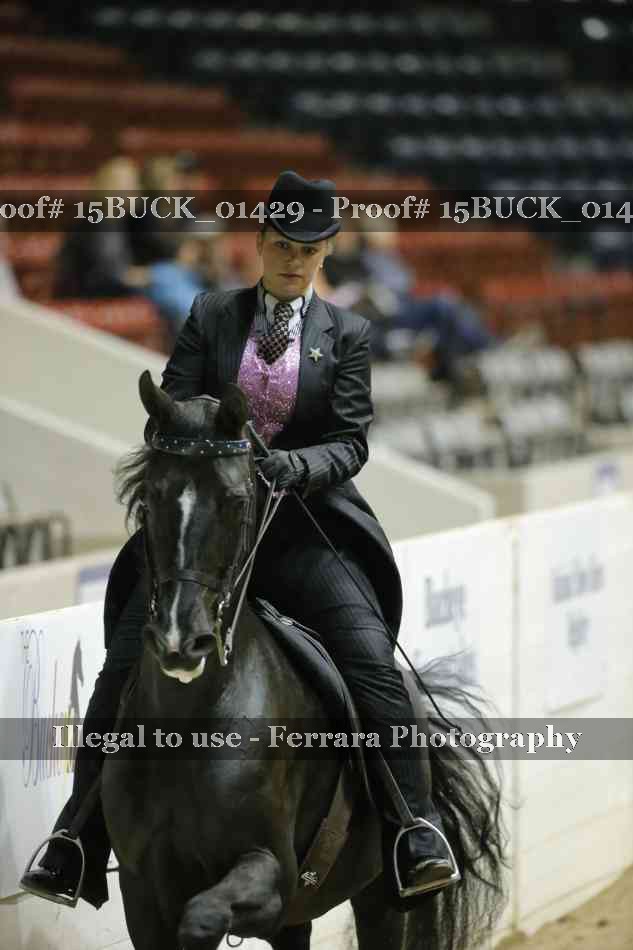 Proof Number 15BUCK_01429