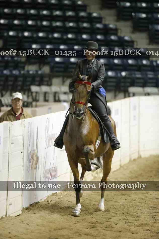 Proof Number 15BUCK_01435