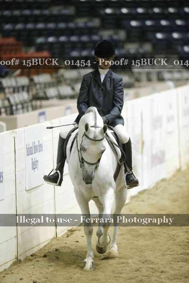 Proof Number 15BUCK_01454