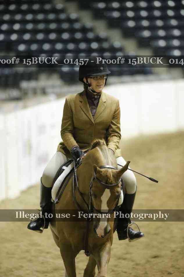 Proof Number 15BUCK_01457