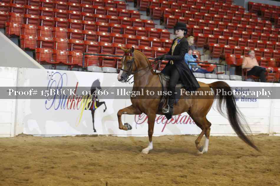 Proof Number 15BUCK_01466