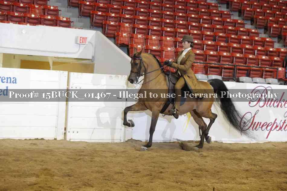 Proof Number 15BUCK_01467