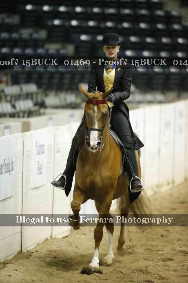Proof Number 15BUCK_01469