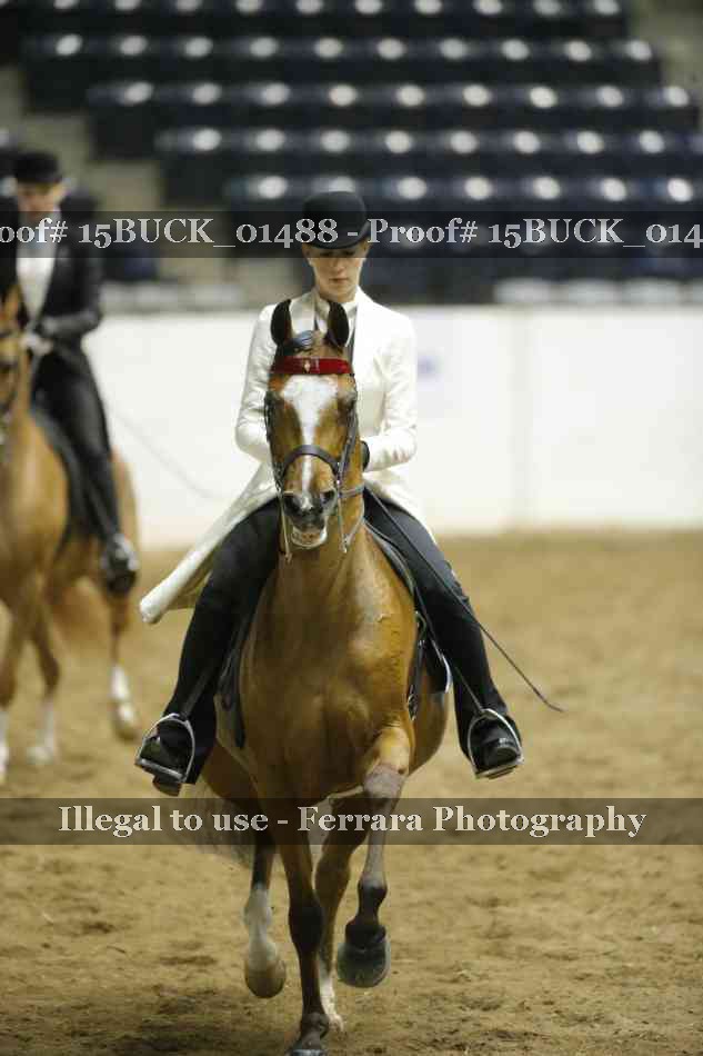 Proof Number 15BUCK_01488