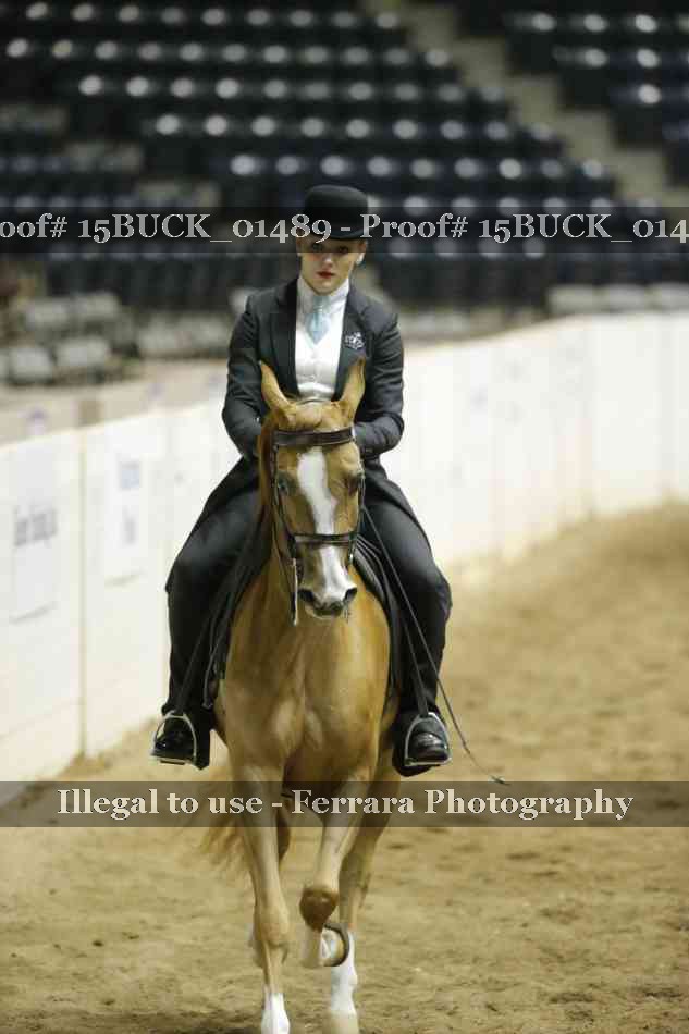 Proof Number 15BUCK_01489