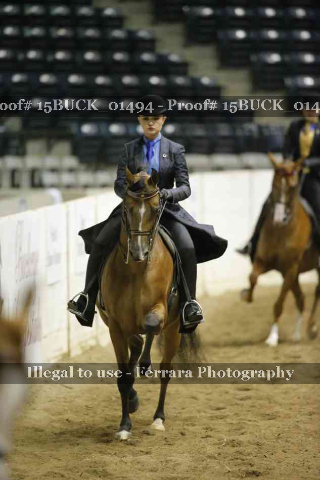 Proof Number 15BUCK_01494