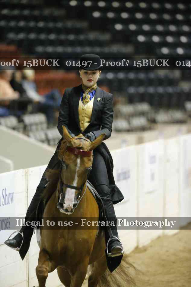 Proof Number 15BUCK_01497