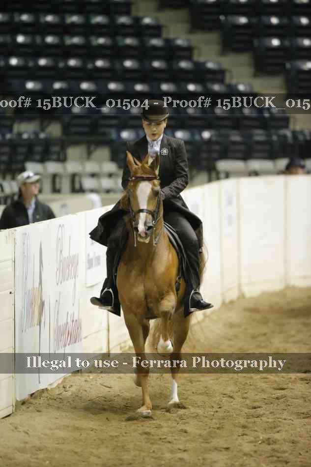 Proof Number 15BUCK_01504