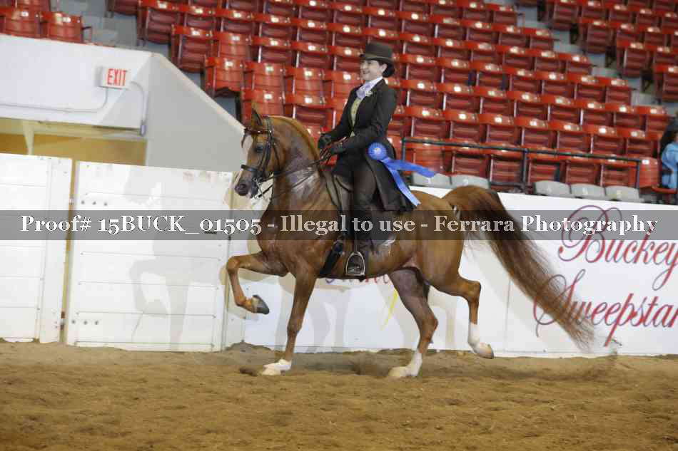 Proof Number 15BUCK_01505
