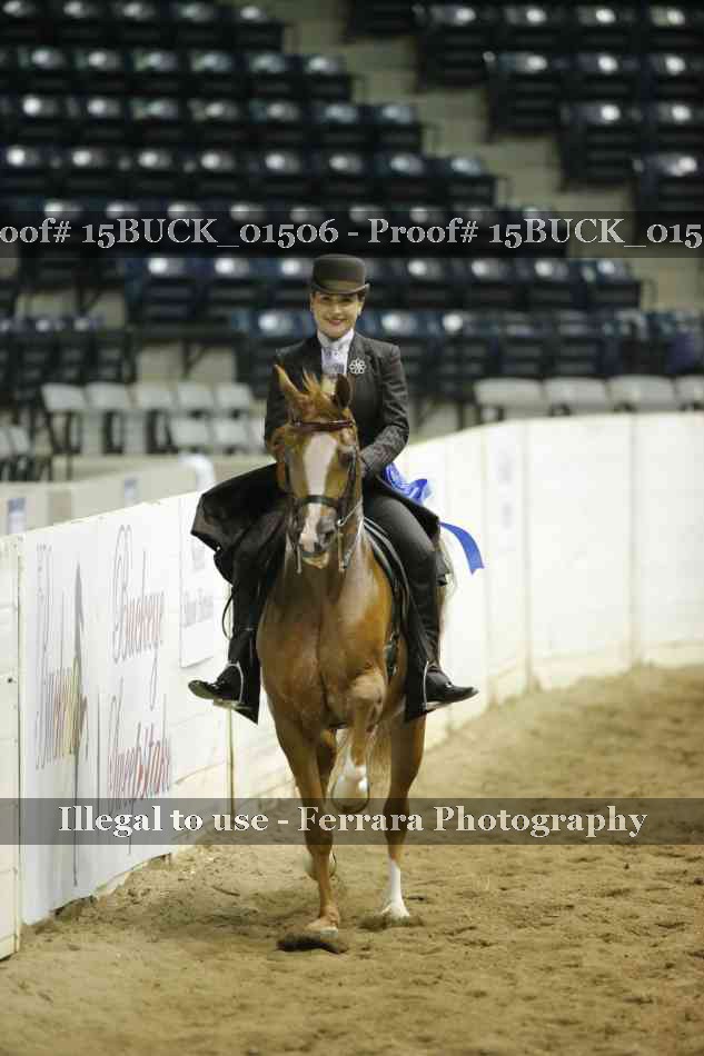 Proof Number 15BUCK_01506