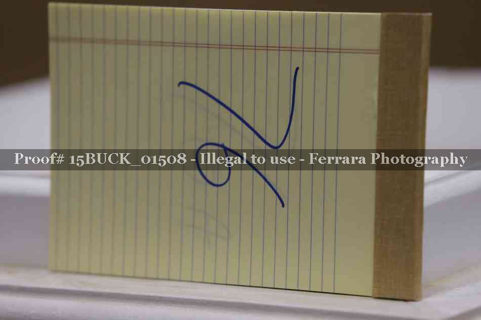 Proof Number 15BUCK_01508
