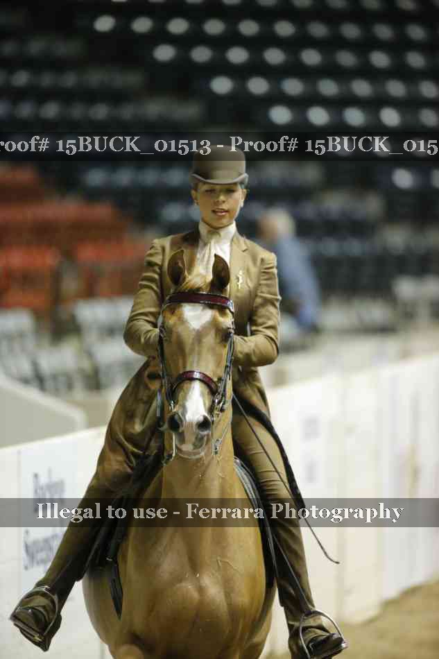 Proof Number 15BUCK_01513