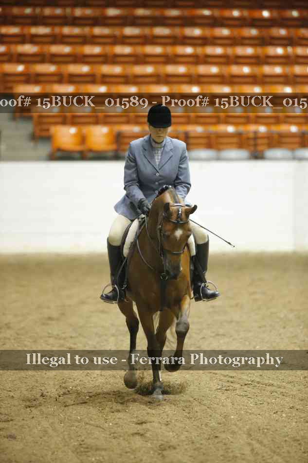 Proof Number 15BUCK_01589