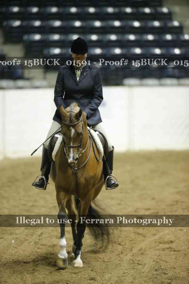 Proof Number 15BUCK_01591