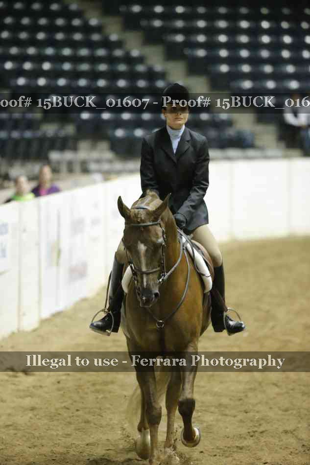 Proof Number 15BUCK_01607