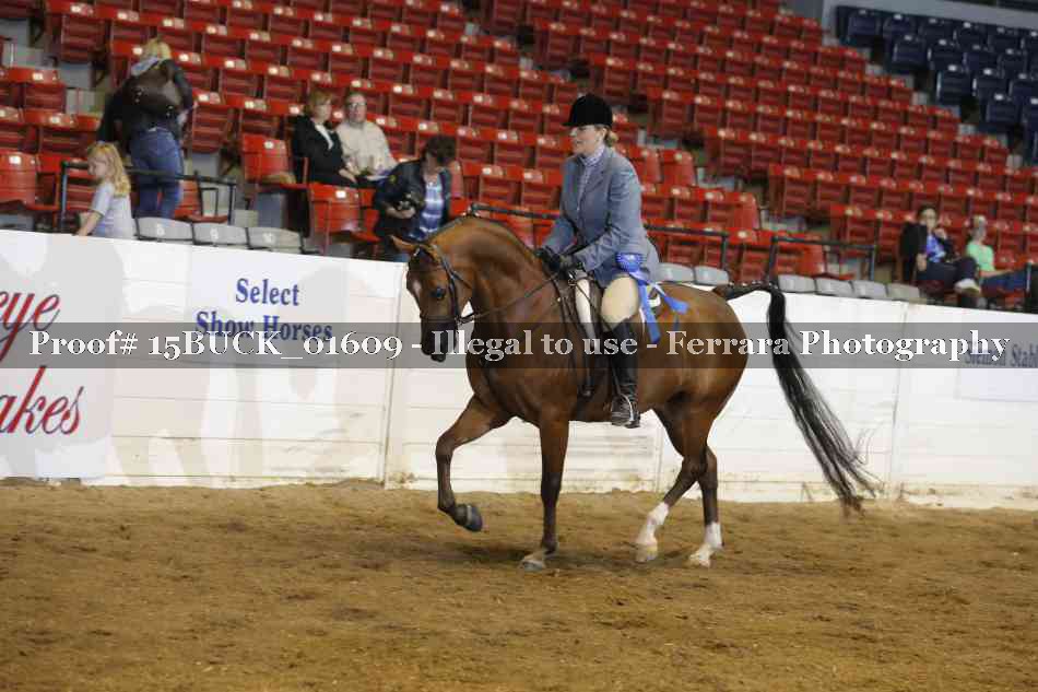 Proof Number 15BUCK_01609