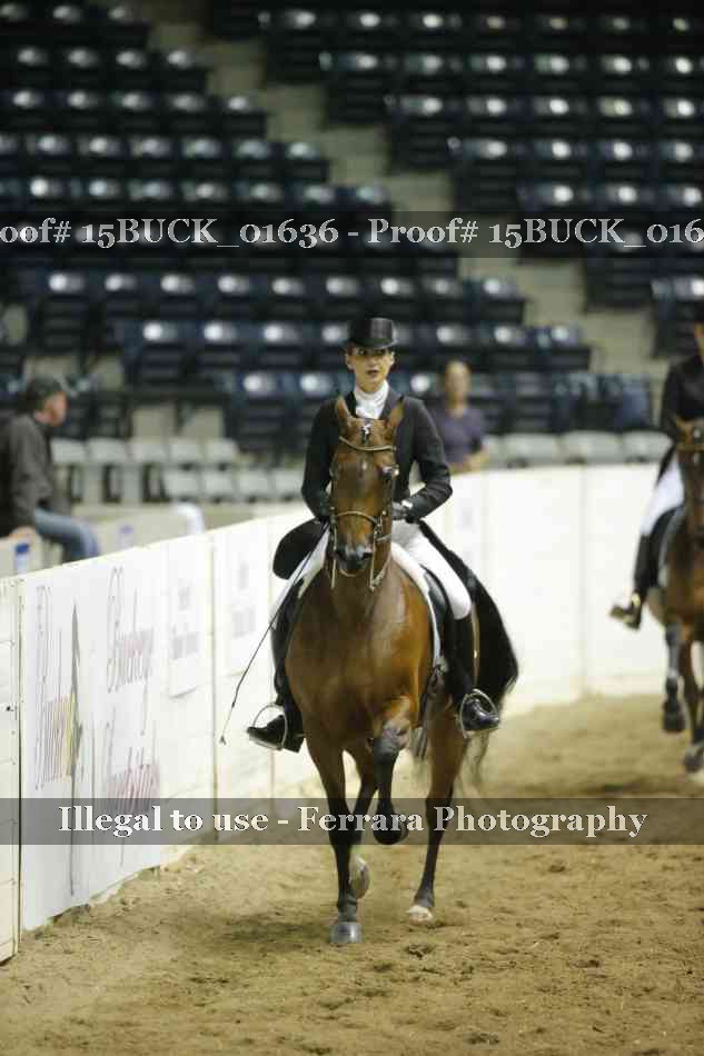 Proof Number 15BUCK_01636